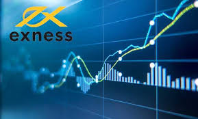 Everything You Need to Know About Exness Forex Demo Everything You Need to Know About Exness Forex Demo
